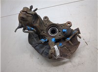 1K0407621F Ступица (кулак, цапфа) Volkswagen Golf Plus 20055784 #4