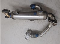 038131513J Охладитель отработанных газов Volkswagen Transporter 5 2003-2009 20059326 #4