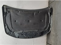  Капот Suzuki Grand Vitara 2005-2015 20060663 #5