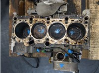 06B103101G Блок цилиндров (Шорт блок) Audi A4 (B6) 2000-2004 20061948 #7