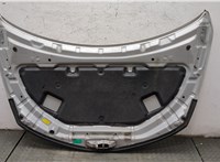  Капот Nissan Murano 2002-2008 20062847 #9