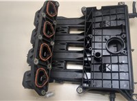  Коллектор впускной Renault Clio 1998-2008 20066097 #3