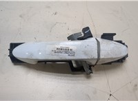 2363338, GN15A224A36LB, 1788863, AV11R22404ABXWAA Ручка двери наружная Ford EcoSport 2017- 20069388 #1