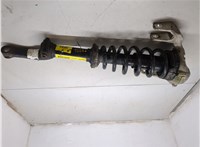 19181637, 25810850 Амортизатор подвески Cadillac SRX 2003-2009 20069537 #5