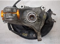 1K0407621F, 3C0407253F Ступица (кулак, цапфа) Volkswagen Passat CC 2008-2012 20070802 #1