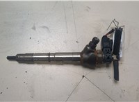 0445110469 Форсунка топливная Volkswagen Tiguan 2016-2020 20071698 #1