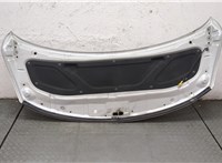  Капот Hyundai H-1 Starex 2007-2015 20075704 #6