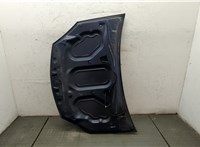  Капот Dacia Sandero 2008-2012 20078243 #8