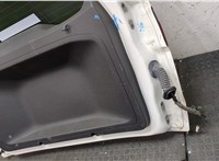 2011900, PFN1BN40400AF Крышка (дверь) багажника Ford EcoSport 2012-2016 20082246 #15