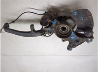  Ступица (кулак, цапфа) Mercedes E W211 2002-2009 20087539 #3