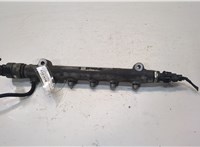  Форсунка топливная Hyundai Santa Fe 2005-2012 20089328 #1