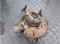 1J0407613G, 1J0407256N, 1J0615312A Ступица (кулак, цапфа) Volkswagen Golf 4 1997-2005 20090814 #5