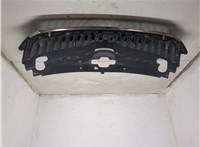 5JA853668 Решетка радиатора Skoda Rapid 20091128 #4
