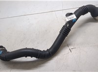 144602443R Патрубок интеркулера Renault Megane 4 2016-2020 20094024 #4