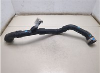 144602443R Патрубок интеркулера Renault Megane 4 2016-2020 20094024 #6