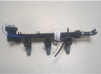  Форсунка топливная Smart Fortwo 1998-2007 20094885 #1