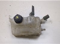  Бачок расширительный Renault Megane 3 2009-2016 20095004 #1