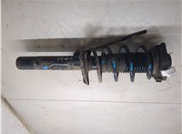 1T0413031HM, JZW413031A, JZW498031A Амортизатор подвески Volkswagen Golf 6 2009-2012 20096861 #5