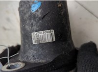  Натяжитель приводного ремня Mazda 6 (GH) 2007-2012 20099026 #2