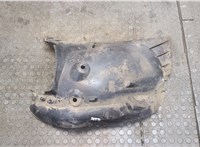 8200289945 Защита арок (подкрылок) Renault Clio 2005-2009 20100944 #1