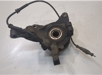  Ступица (кулак, цапфа) Renault Scenic 1996-2002 20101310 #2