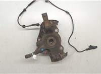  Ступица (кулак, цапфа) Fiat Panda 2003-2012 20102962 #3