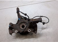 7672265, 51857219, 46816362 Ступица (кулак, цапфа) Fiat Panda 2003-2012 20102962 #4