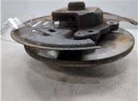 430431823R, 8200715359, 402024076R Ступица (кулак, цапфа) Renault Kangoo 2013-2021 20104841 #4