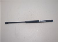 8717026011 Амортизатор стекла багажника Hyundai Santa Fe 2000-2006 20106225 #2