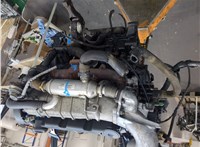 0135FK Двигатель (ДВС) Citroen C5 2001-2004 20106397 #9
