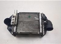 078145805L Радиатор интеркулера Audi A6 (C5) Allroad 2000-2005 20107400 #1