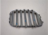 51137113733, 7113733 Решетка радиатора BMW X5 E53 2000-2006 20109127 #10