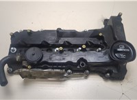 55486867 Крышка клапанная ДВС Opel Insignia 2013-2017 20110065 #1