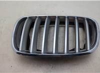 51137171395 Решетка радиатора BMW X6 E71 2007-2014 20110845 #5