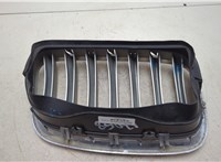51137171395 Решетка радиатора BMW X6 E71 2007-2014 20110845 #6