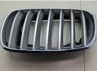 51137171395 Решетка радиатора BMW X6 E71 2007-2014 20110845 #10
