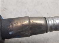06B906265D Лямбда зонд Volkswagen Passat 5 2000-2005 20118183 #9