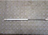  Амортизатор капота * * 20117764 #1