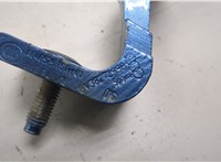  Петля крышки багажника Volkswagen Tiguan 2016-2020 20119459 #2