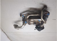851063, 55578076 Охладитель отработанных газов Opel Zafira B 2005-2014 20119521 #4