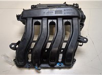  Коллектор впускной Renault Megane 2 2002-2009 20119784 #1