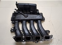  Коллектор впускной Renault Megane 2 2002-2009 20119784 #3