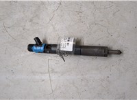 EJBR05102D Форсунка топливная Renault Clio 2005-2009 20121669 #5