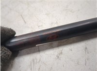817713K001 Амортизатор крышки багажника Hyundai Sonata NF 2005-2010 20122652 #4