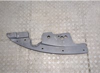 625801AA0A Накладка замка капота Nissan Murano 2008-2010 20122773 #1