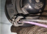  Фара противотуманная (галогенка) Renault Scenic 1996-2002 20124644 #5