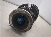 31313453521, 31333412728 Амортизатор подвески BMW X3 E83 2004-2010 20128334 #3
