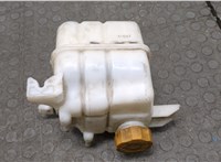  Бачок расширительный Chevrolet Captiva 2006-2011 20128960 #2