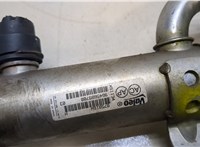 1233381, 1436390 Клапан рециркуляции газов (EGR) Ford S-Max 2006-2010 20129588 #2