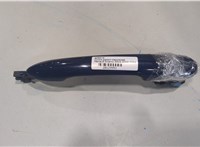  Ручка двери наружная Renault Scenic 2003-2009 20129951 #1